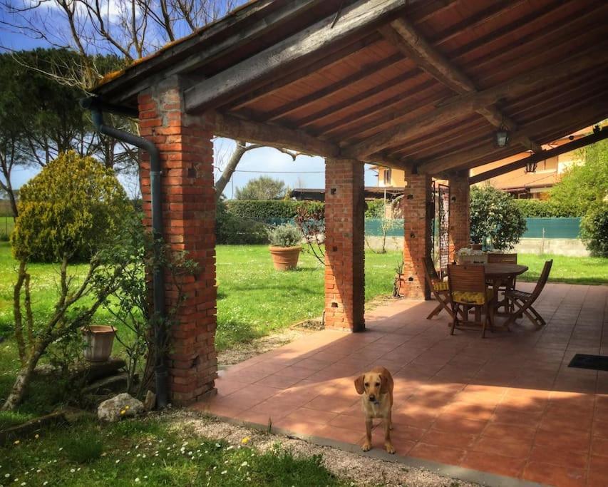 Casa Indipendente Con Giardino-min 3 Notti Holiday home