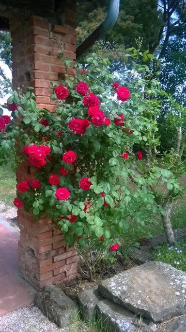 Casa Indipendente Con Giardino-min 3 Notti