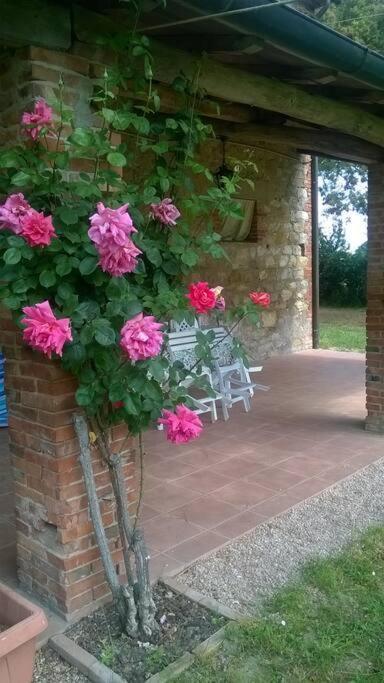 Casa Indipendente Con Giardino-min 3 Notti * Castiglione del Lago