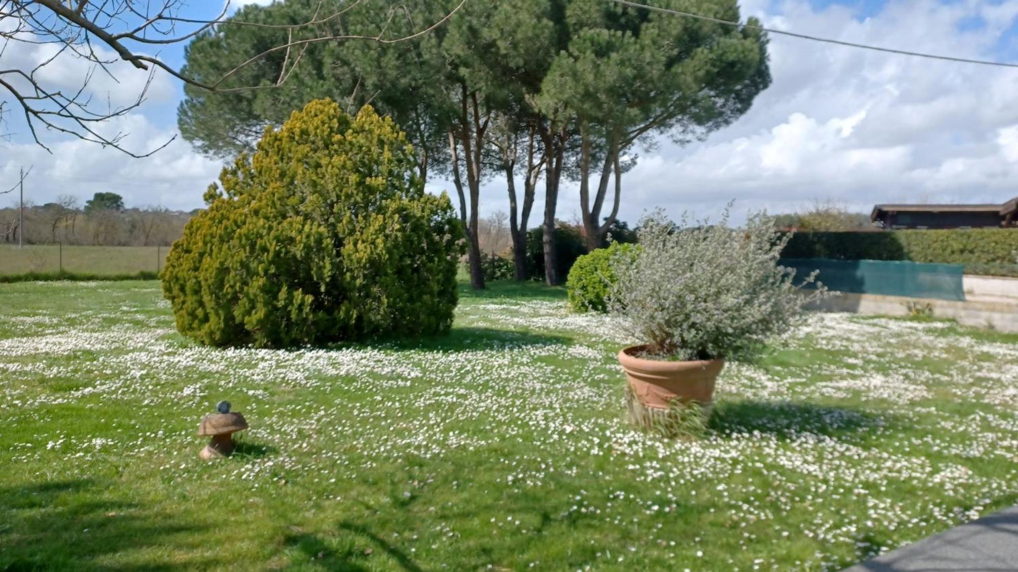 Casa Indipendente Con Giardino-min 3 Notti * Castiglione del Lago